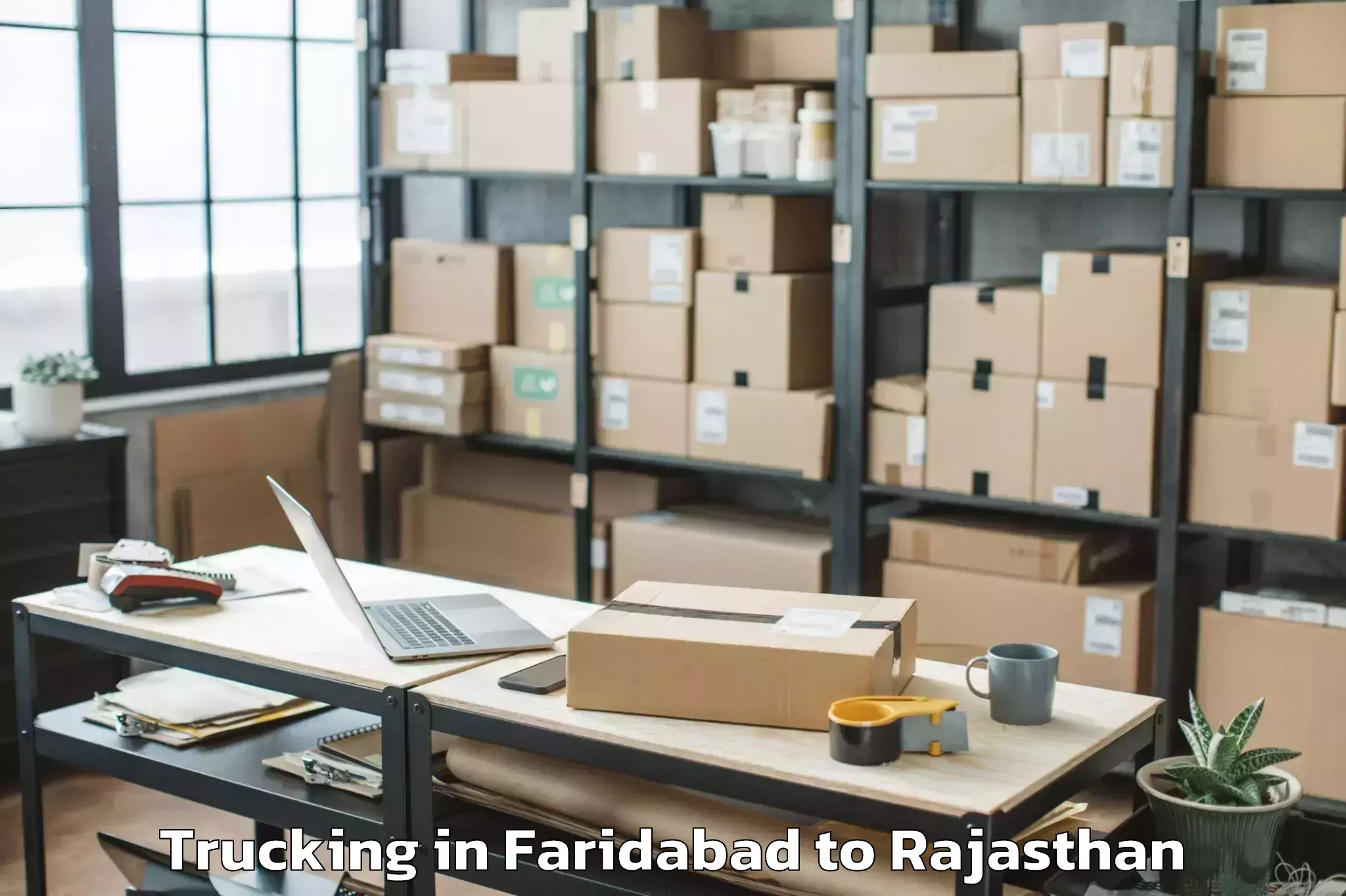 Book Faridabad to Dausa Trucking